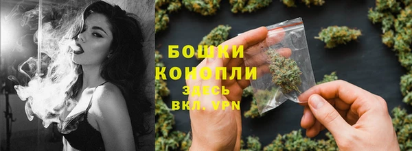 тгк Корсаков