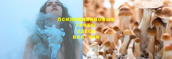 тгк Корсаков