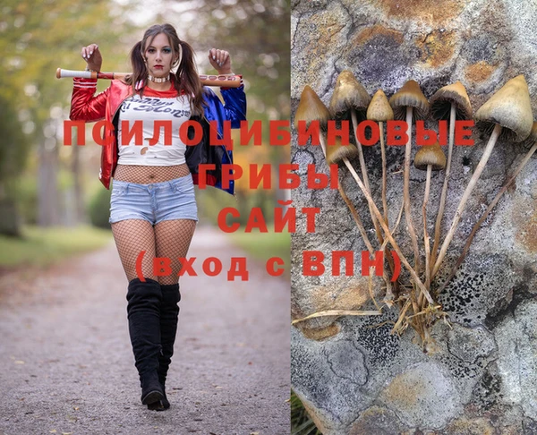 скорость Коряжма