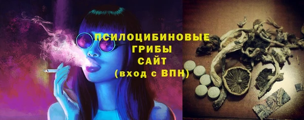 тгк Корсаков